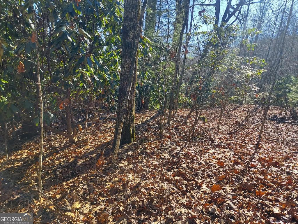 Photo of 1415 Honey Bear, Dillard, GA 30537 (MLS # 10682889)