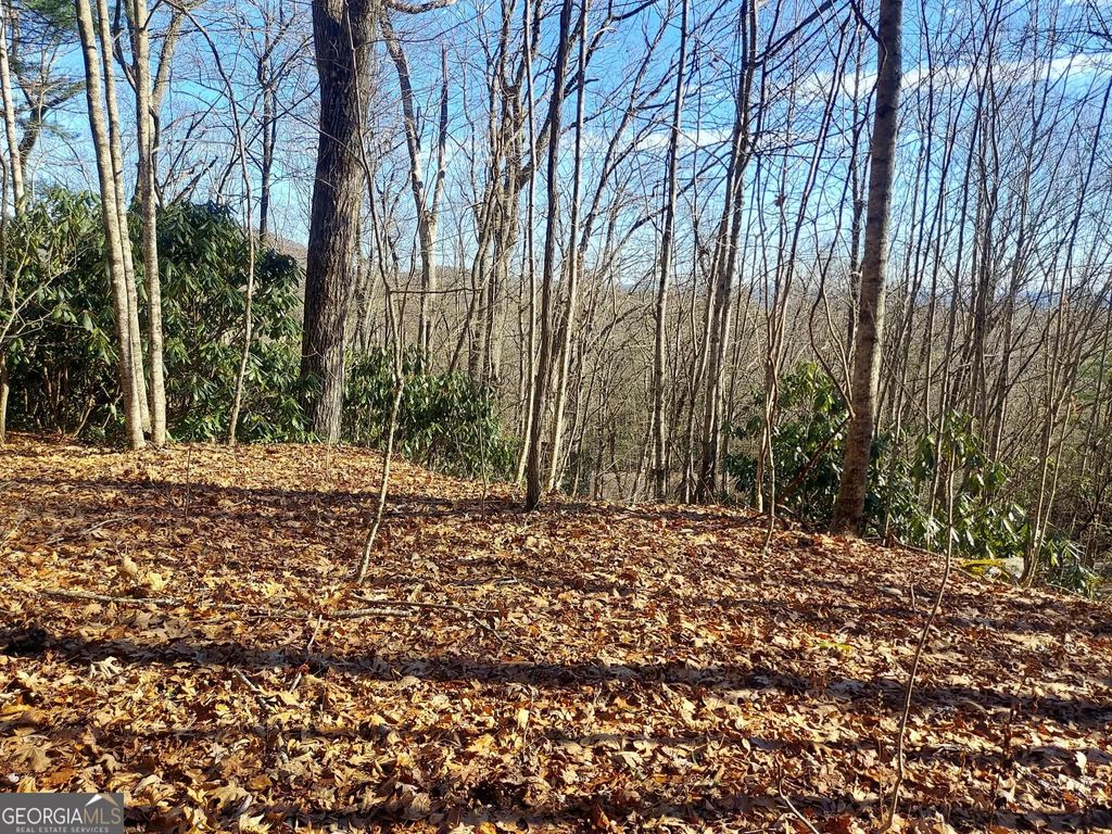 Photo of 1415 Honey Bear, Dillard, GA 30537 (MLS # 10682889)