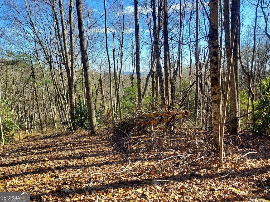 Photo of 1415 Honey Bear, Dillard, GA 30537 (MLS # 10682889)