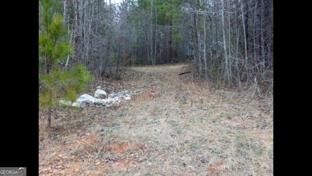 Photo of 2 Old Woodbury Road, WOODBURY, GA 30293 (MLS # 10786295)