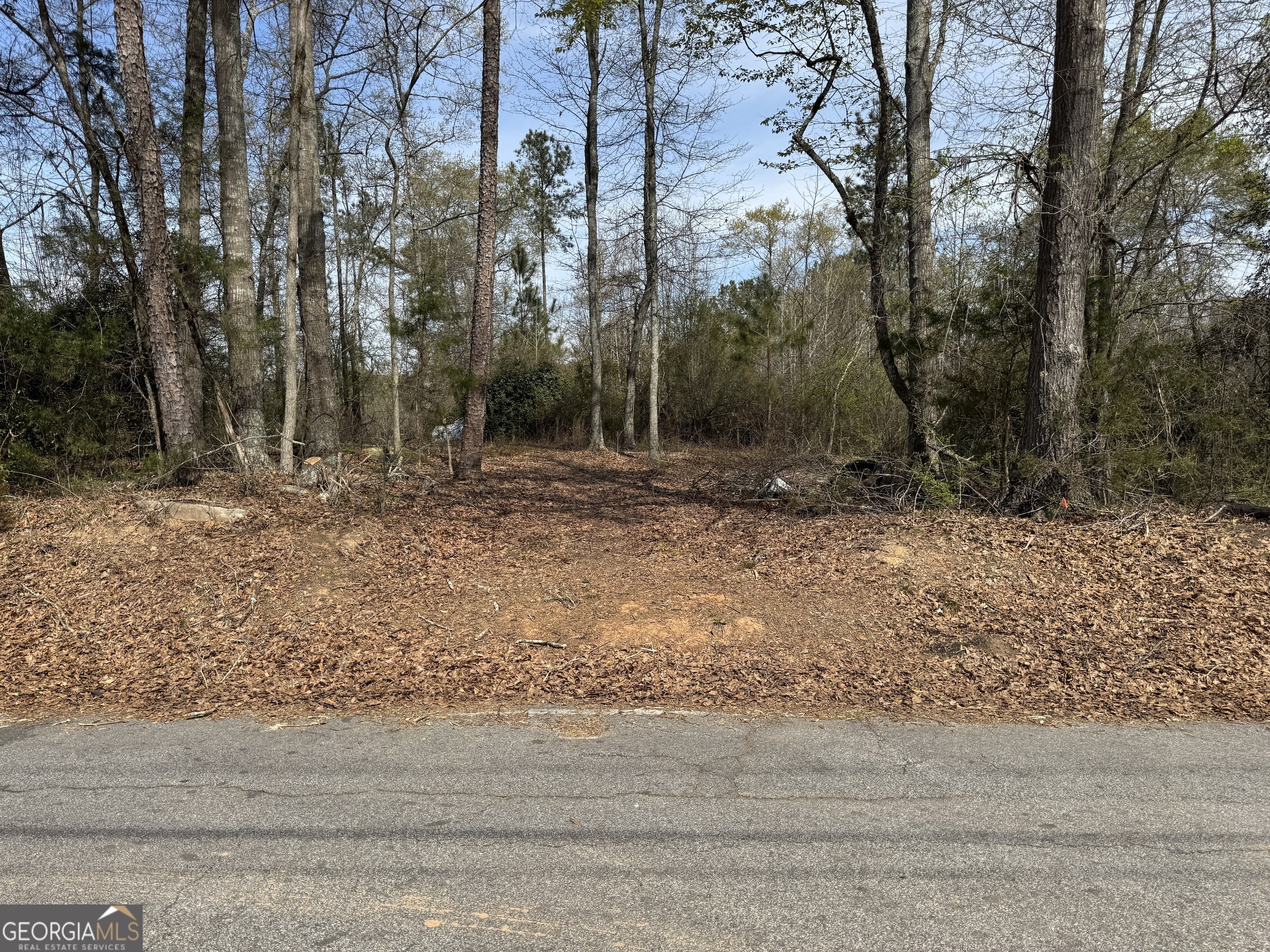 738 Old Mineral Springs RD