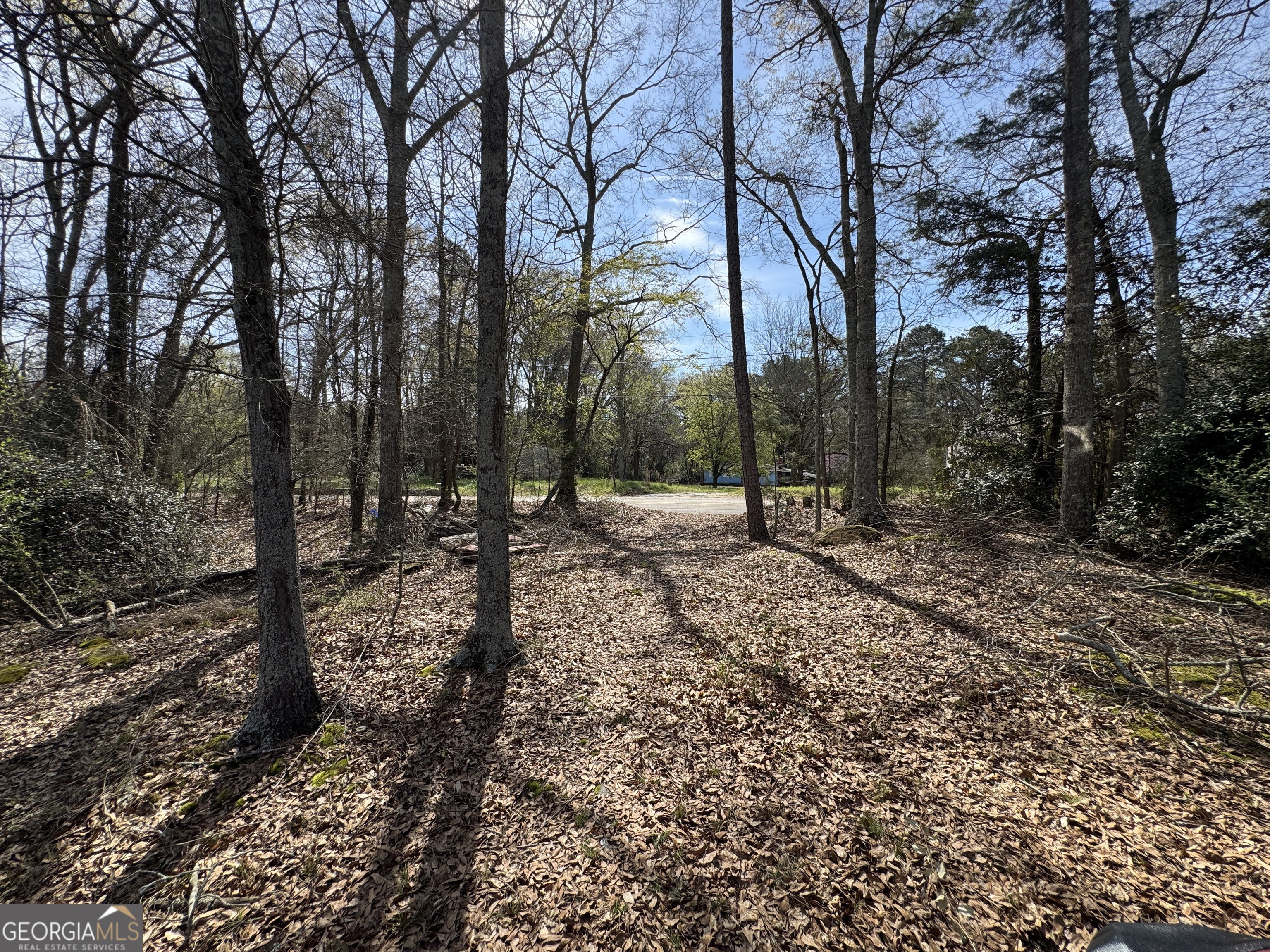 738 Old Mineral Springs RD