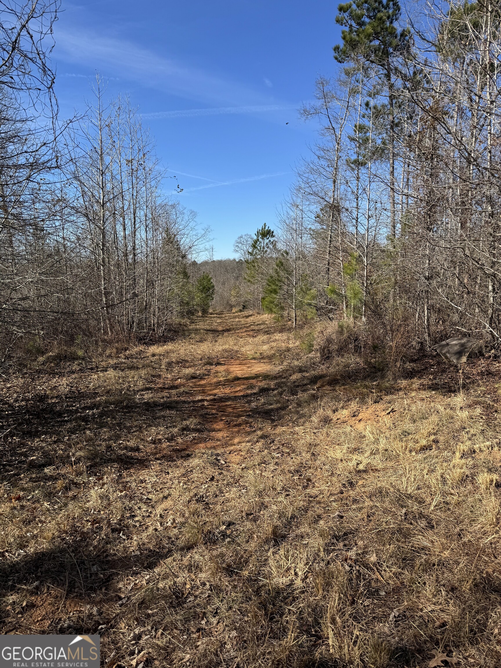 738 Old Mineral Springs RD