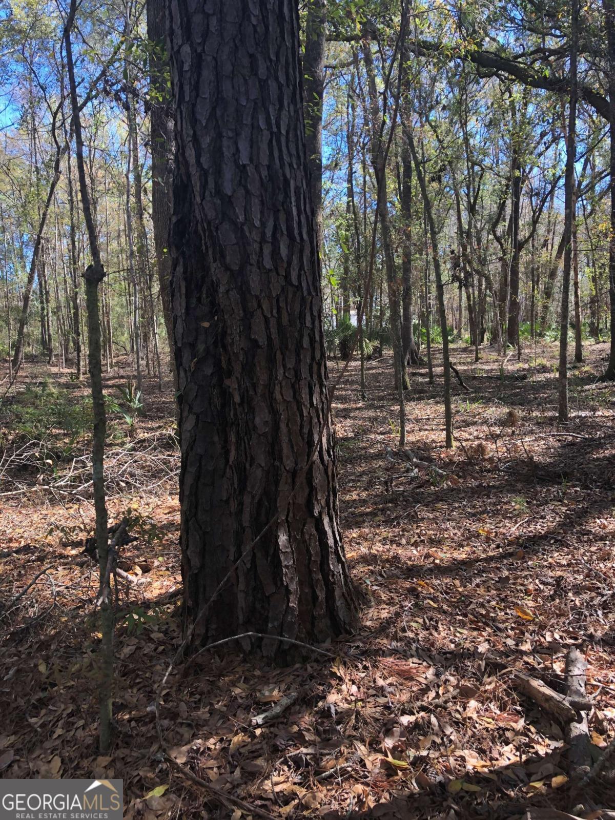 0 Timber Landing RD