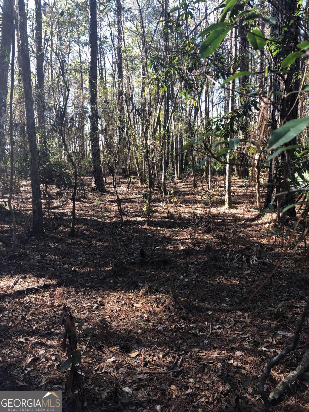 0 Timber Landing RD