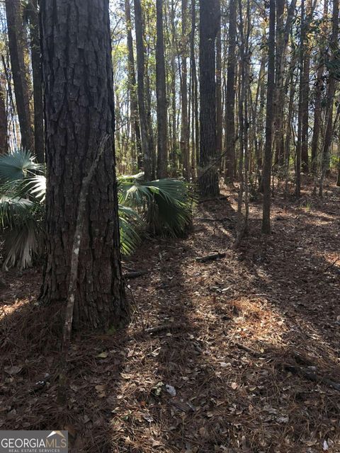0 Timber Landing RD Brunswick GA 31523
