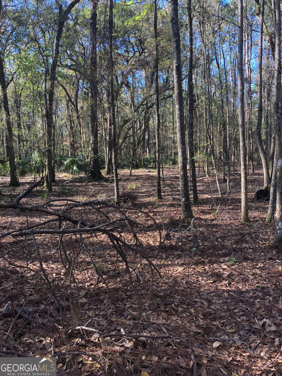 0 Timber Landing RD