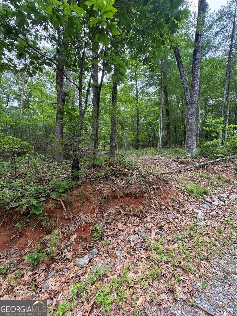 0 Nimblewill Creek RD