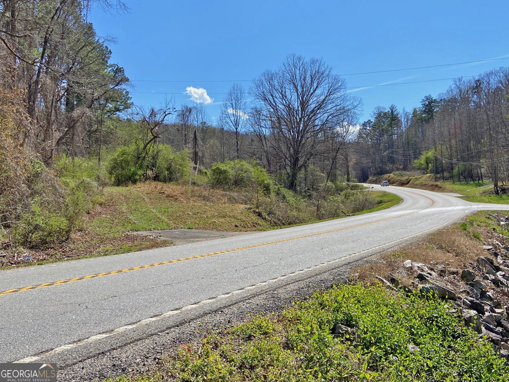 0 GA Hwy. 9 South