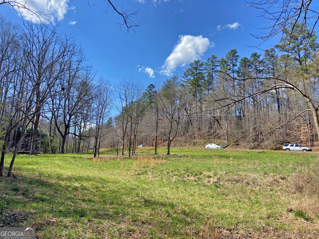 0 GA Hwy. 9 South