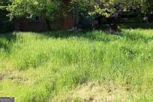 2628 AMBERLY DR