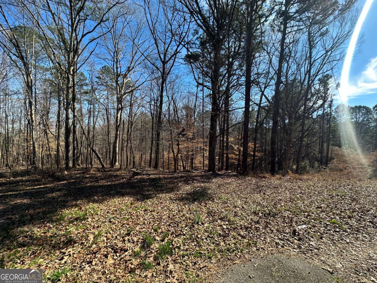 24 Wayside LN