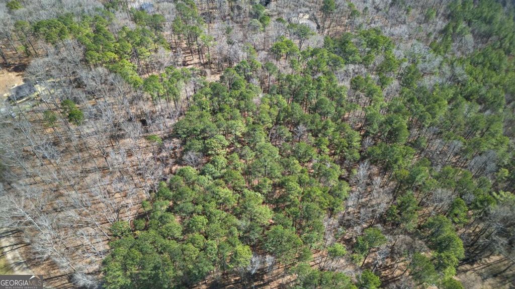 Photo of 0 Northcutt Road, Fairburn, GA 30213 (MLS # 10699389)