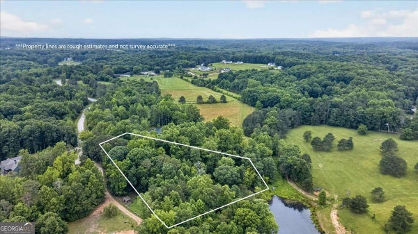 435 SLEEPY HOLLOW LN, CUMMING, GA 30028 - Image b923b9e24d4cc3cabb80118dc36d63bc/2139761593