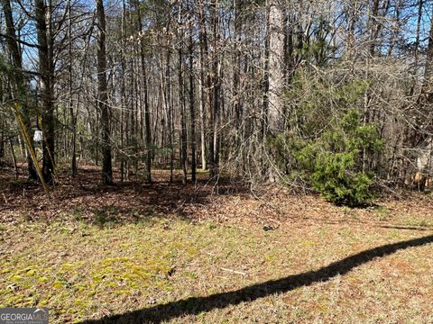 Photo of 0 Stephen Drive, Toccoa, GA 30577 (MLS # 10710891)