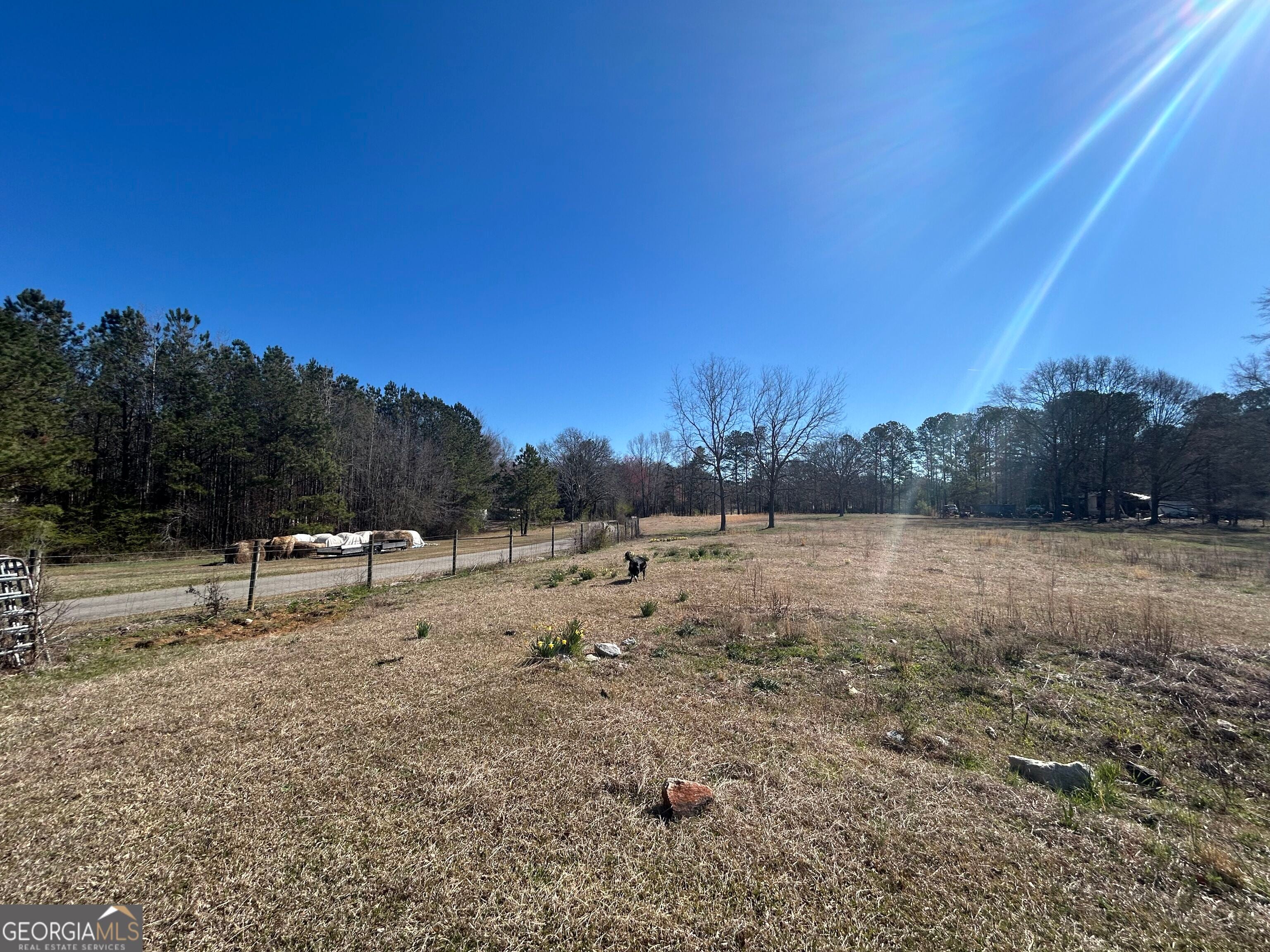 150 Charles Painter RD