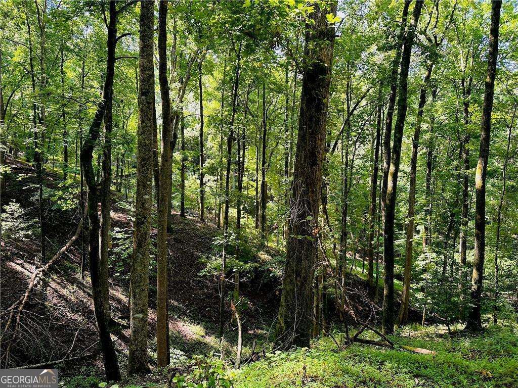 Photo of 7123 Acres Halls Mill Road, Dahlonega, GA 30533 (MLS # 10731280)