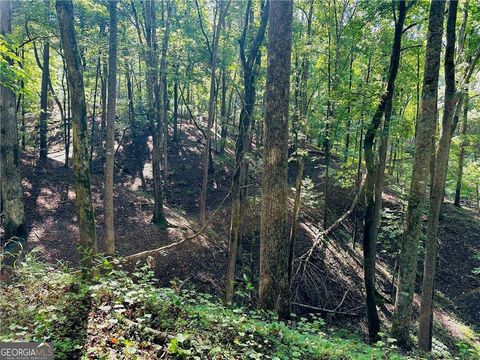 Photo of 7123 Acres Halls Mill Road, Dahlonega, GA 30533 (MLS # 10731280)