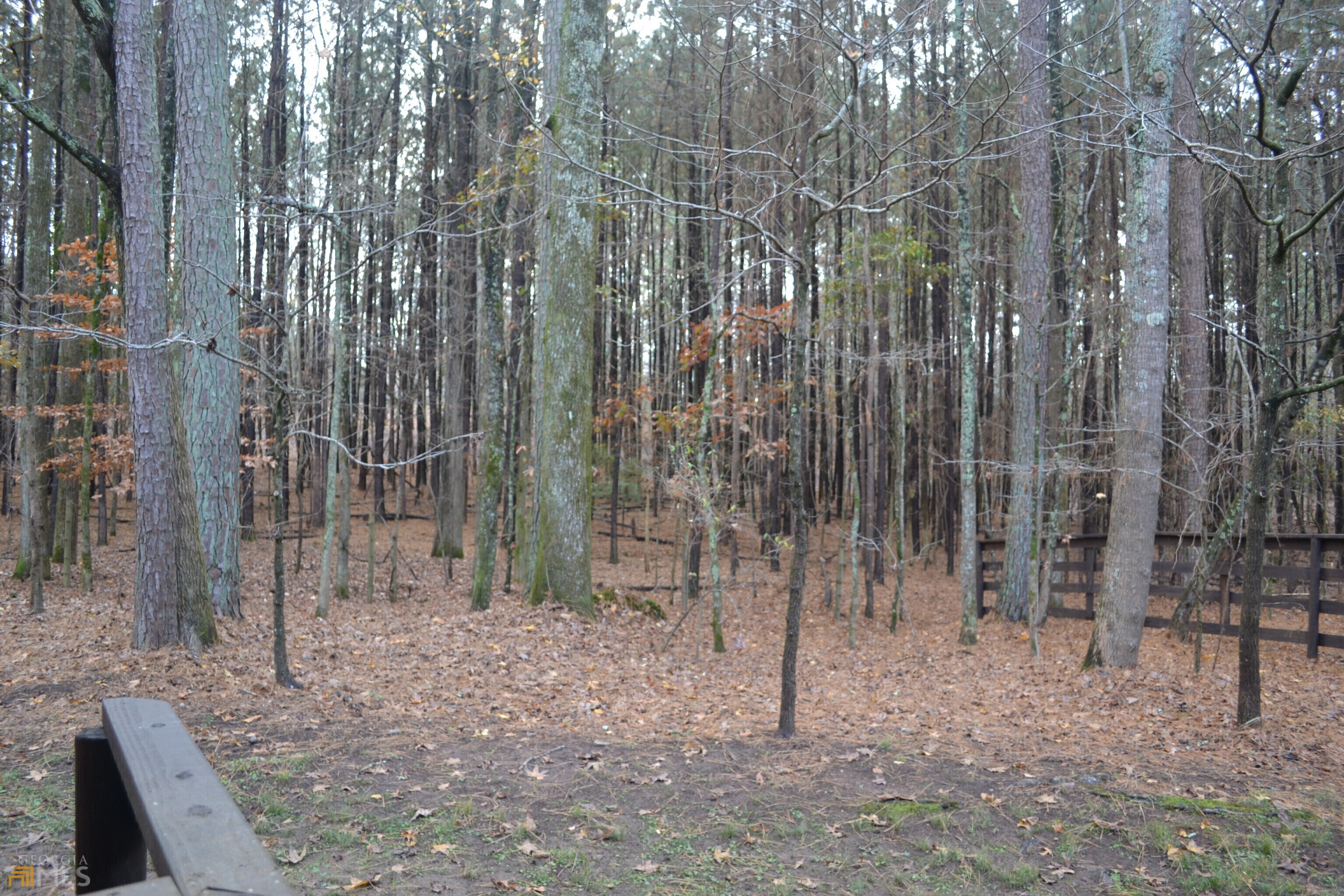 Long Meadow - Residential
