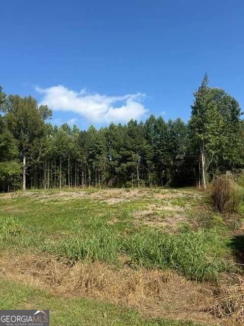 Photo of 6712 Cleveland Highway, Clermont, GA 30527 (MLS # 10877342)