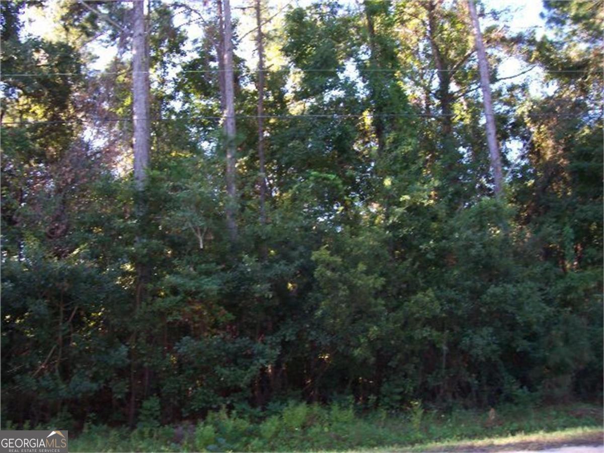 Build your dream home on this serene, wooded lot at 109 Midway Circle in Brunswick, GA. This vacant parcel offers privacy and natural beauty, surrounded by mature trees and a peaceful atmosphere. The lot is unspoiled and free of utilities, ideal for buyers seeking a blank canvas or looking to create a private retreat tailored to their vision. Conveniently located Blythe Island this parcel balances tranquil, country-style living with easy access to everyday conveniences. Whether you're planning a weekend getaway or a full-time residence, 109 Midway Circle is ready for your custom plans from the ground up. Don't miss this opportunity to own a piece of Brunswick's natural landscape-bring your builder and blueprint and start your next chapter here. Seller is a licensed real estate agent in the state of Georgia, license number 385594