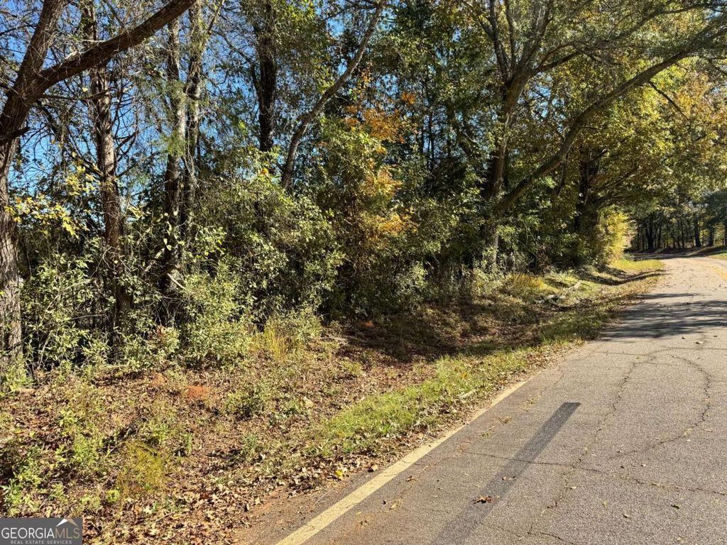 Photo of 0 Taylor Road #TRACT 1&amp;2, Lexington, GA 30648 (MLS # 10726217)