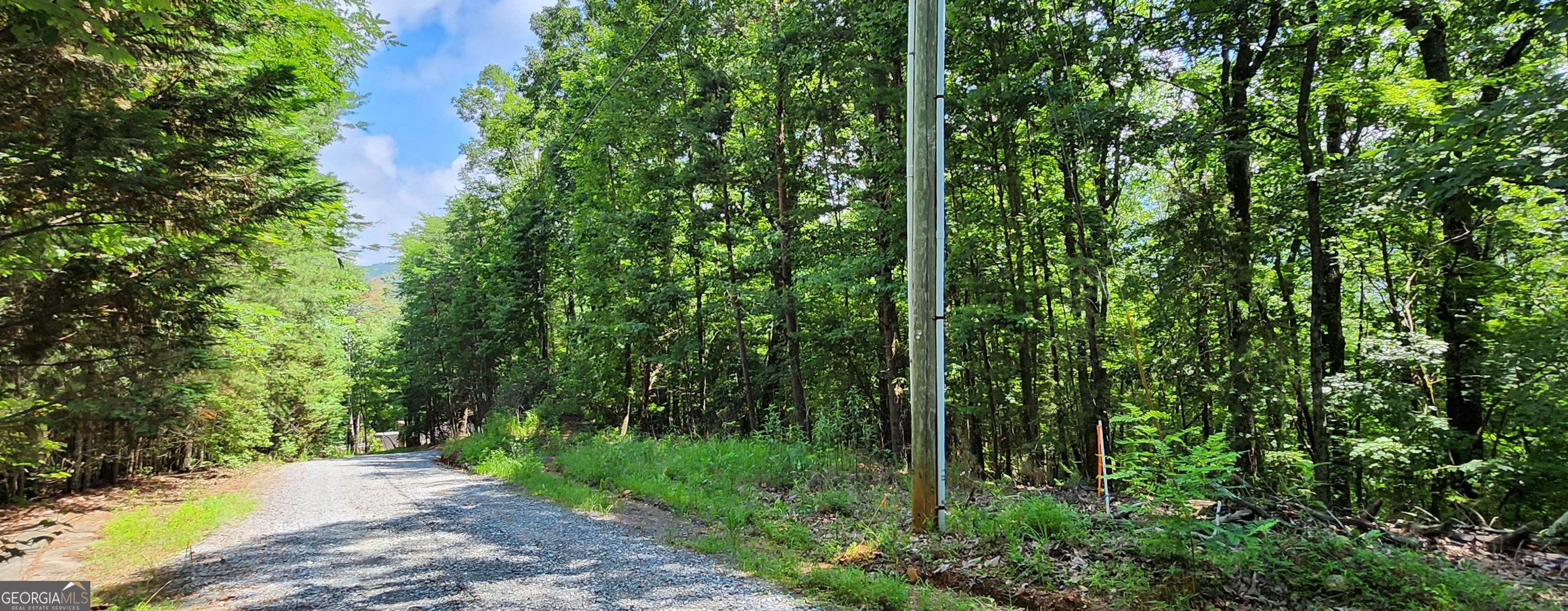 LT 51 LT 52 Buena Vista Drive