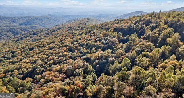 LOT 01 Upper Sassafras PKWY