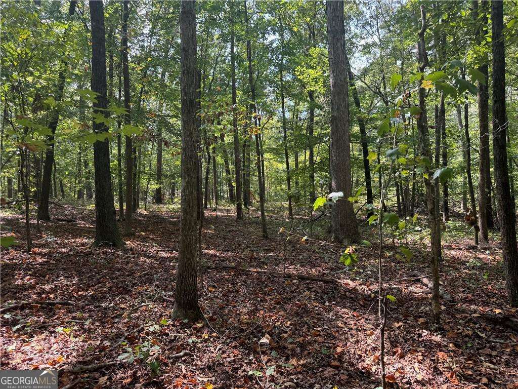 348 A Pat Rich DR