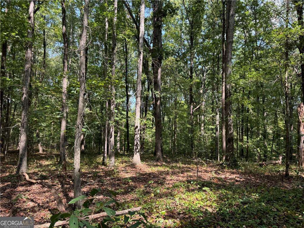 348 A Pat Rich DR