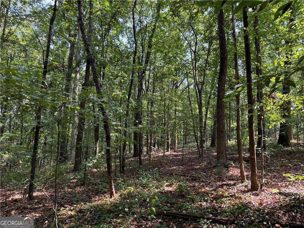 348 A Pat Rich DR