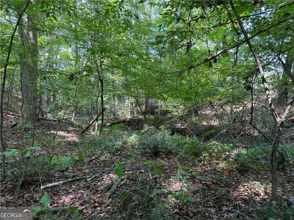 348 A Pat Rich DR