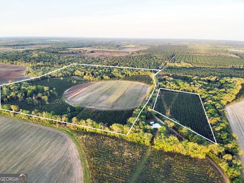 Photo of 0 Cumbie Road, Climax, GA 39834 (MLS # 10521506) Photo of 0 Cumbie Road, Climax, GA 39834 (MLS # 10521506)