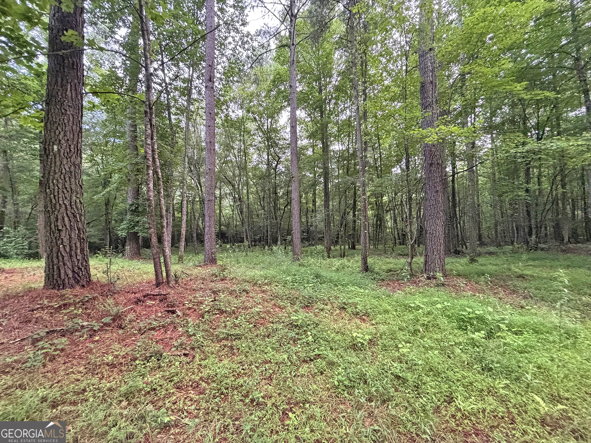 20AC Yonder WAY