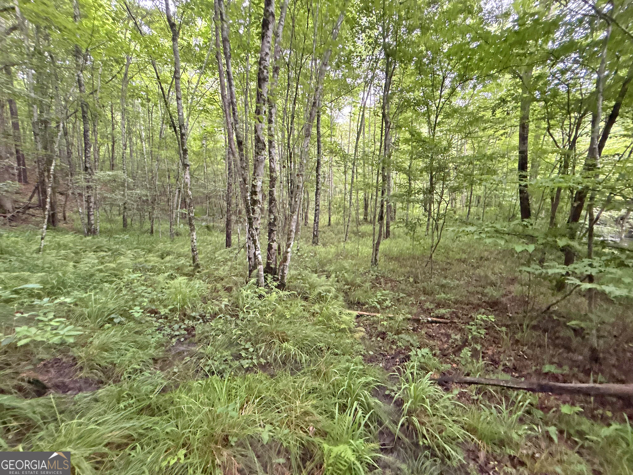 20AC Yonder WAY