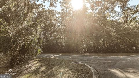 Photo of 593 Tattnal Lane, St. Marys, GA 31558 (MLS # 10674622)