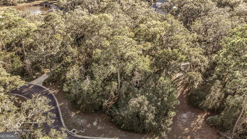 Photo of 593 Tattnal Lane, St. Marys, GA 31558 (MLS # 10674622)