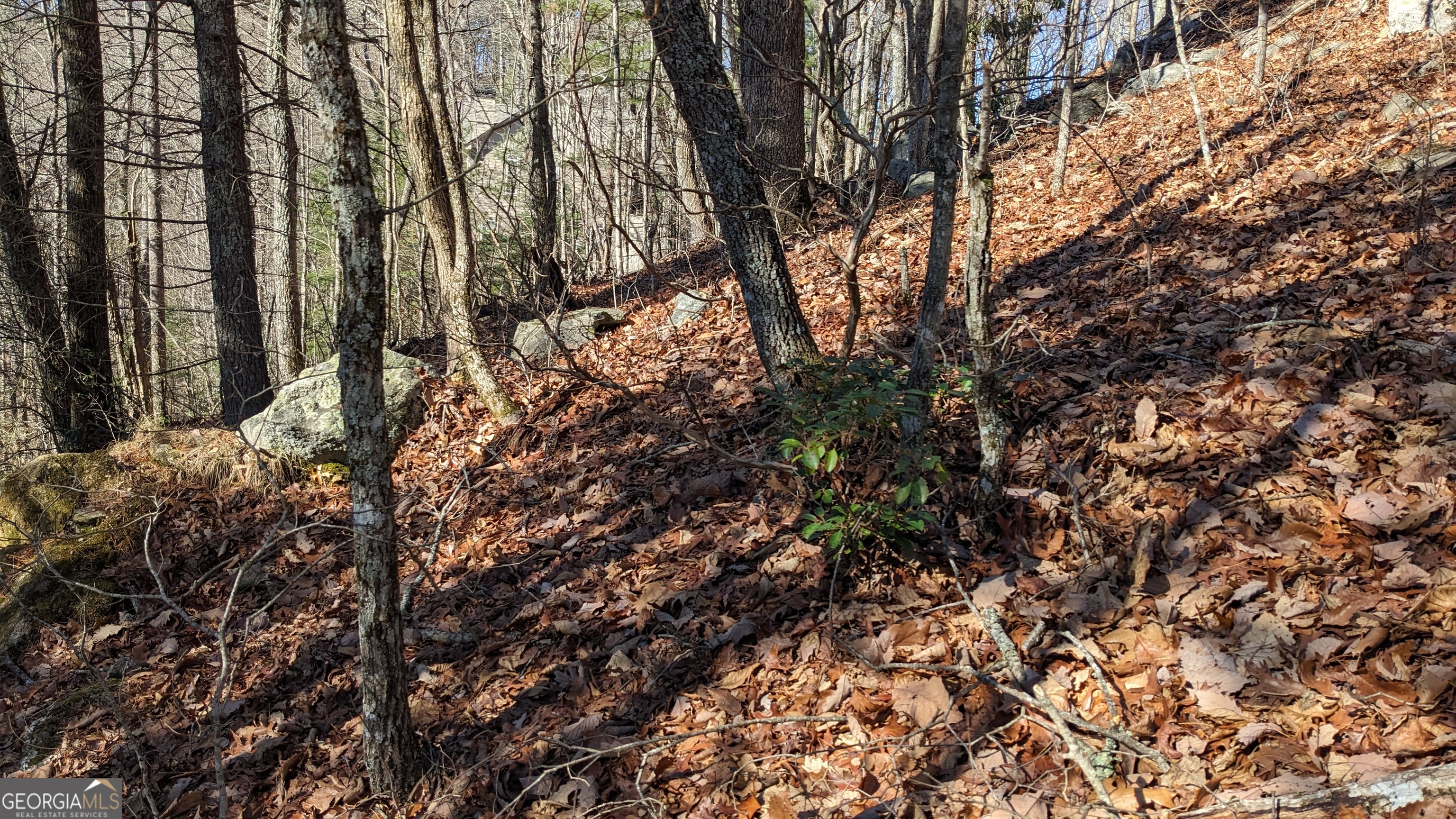 0 LOT 111 Ridgepole Drive DR