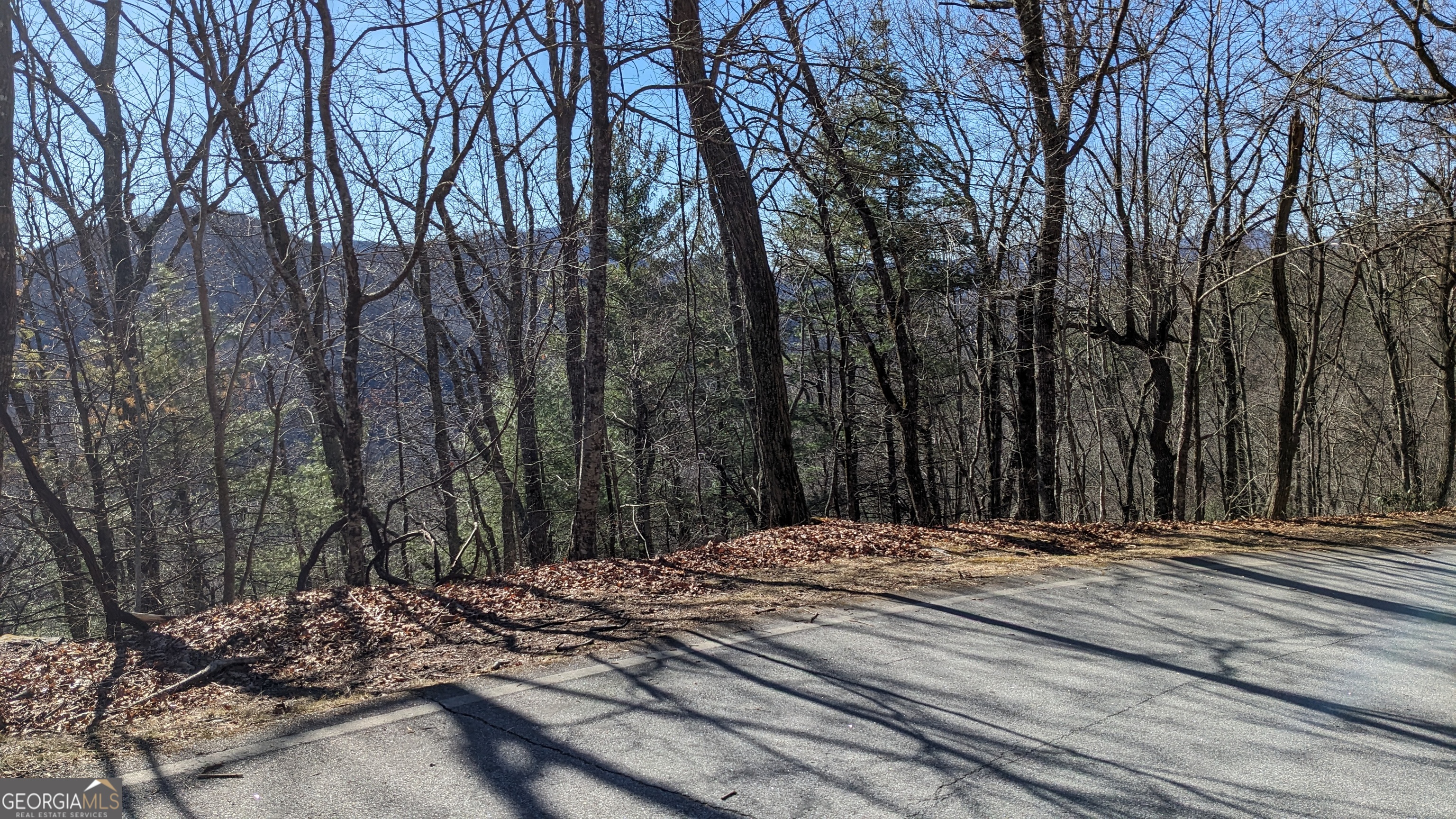 0 LOT 111 Ridgepole Drive DR