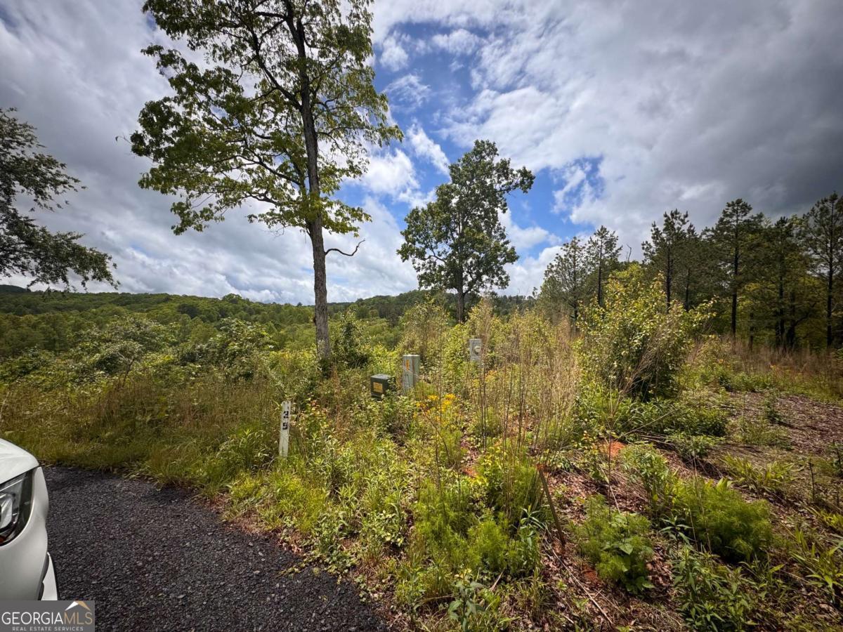35 Arbor Creek