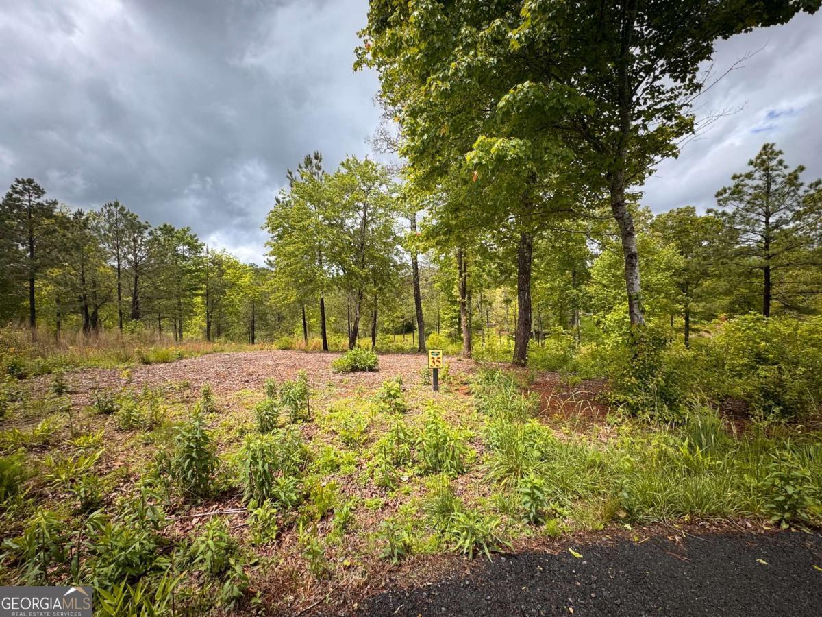 1.56 acres of beautiful land in Blue Ridge Mountains. This unique property boasts access to two bodies of water, creating endless possibilities for building your dream cabin or custom home.