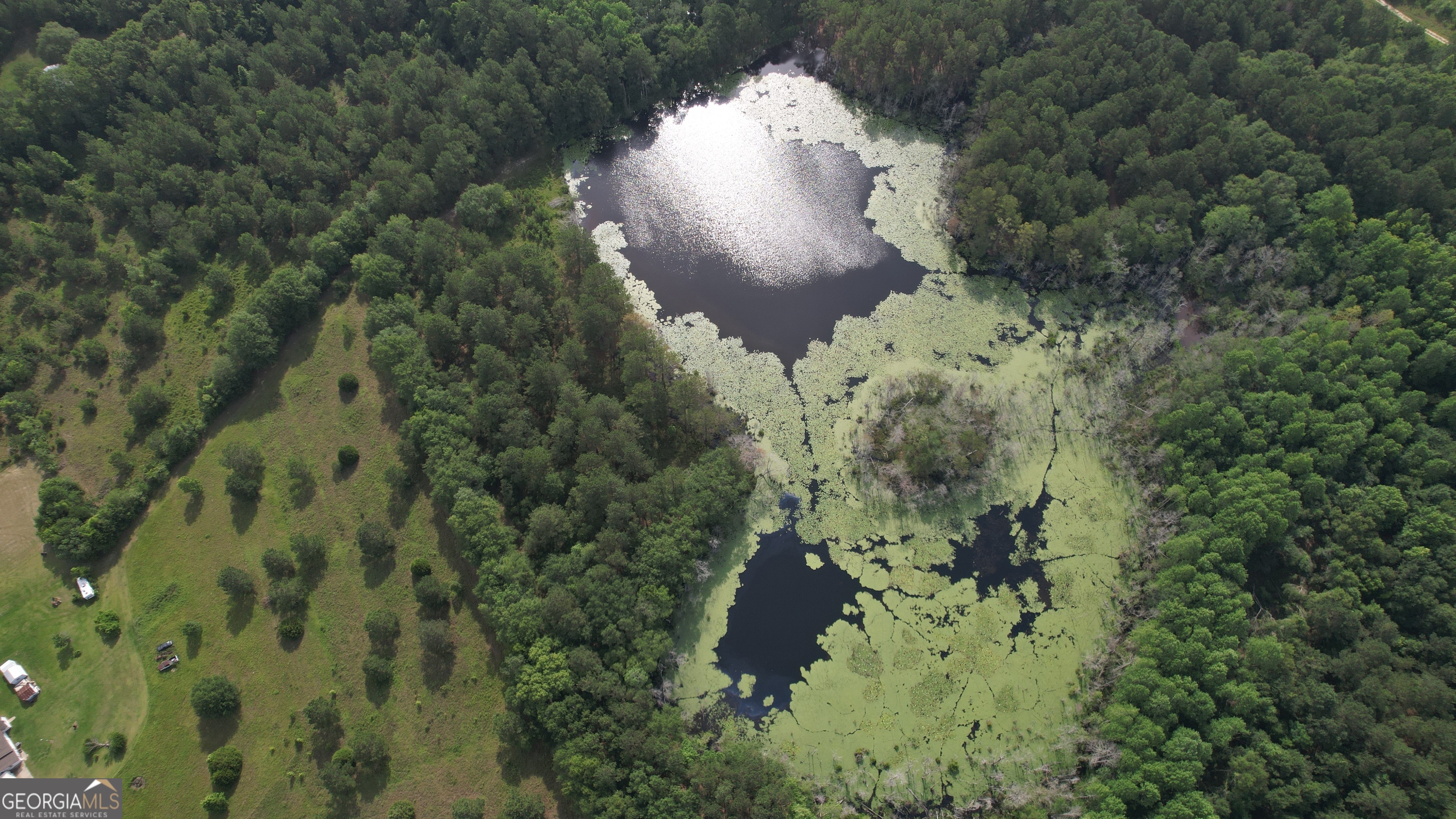 Build your dream home on this peaceful 5.73-acre residential parcel on Arnett Road, just minutes from Hwy 301 South and the heart of Sylvania. This gently rolling property offers a serene setting with a shared pond-perfect for enjoying nature and quiet country living. While the pond is not fully owned, new owners will have access to it for recreational use. With road frontage and easy access, it's a great spot for a private homesite or weekend retreat. Power and sewer are not currently available, offering the opportunity to create a fully self-sufficient or off-grid setup. Don't miss this chance to own a beautiful piece of rural Georgia!