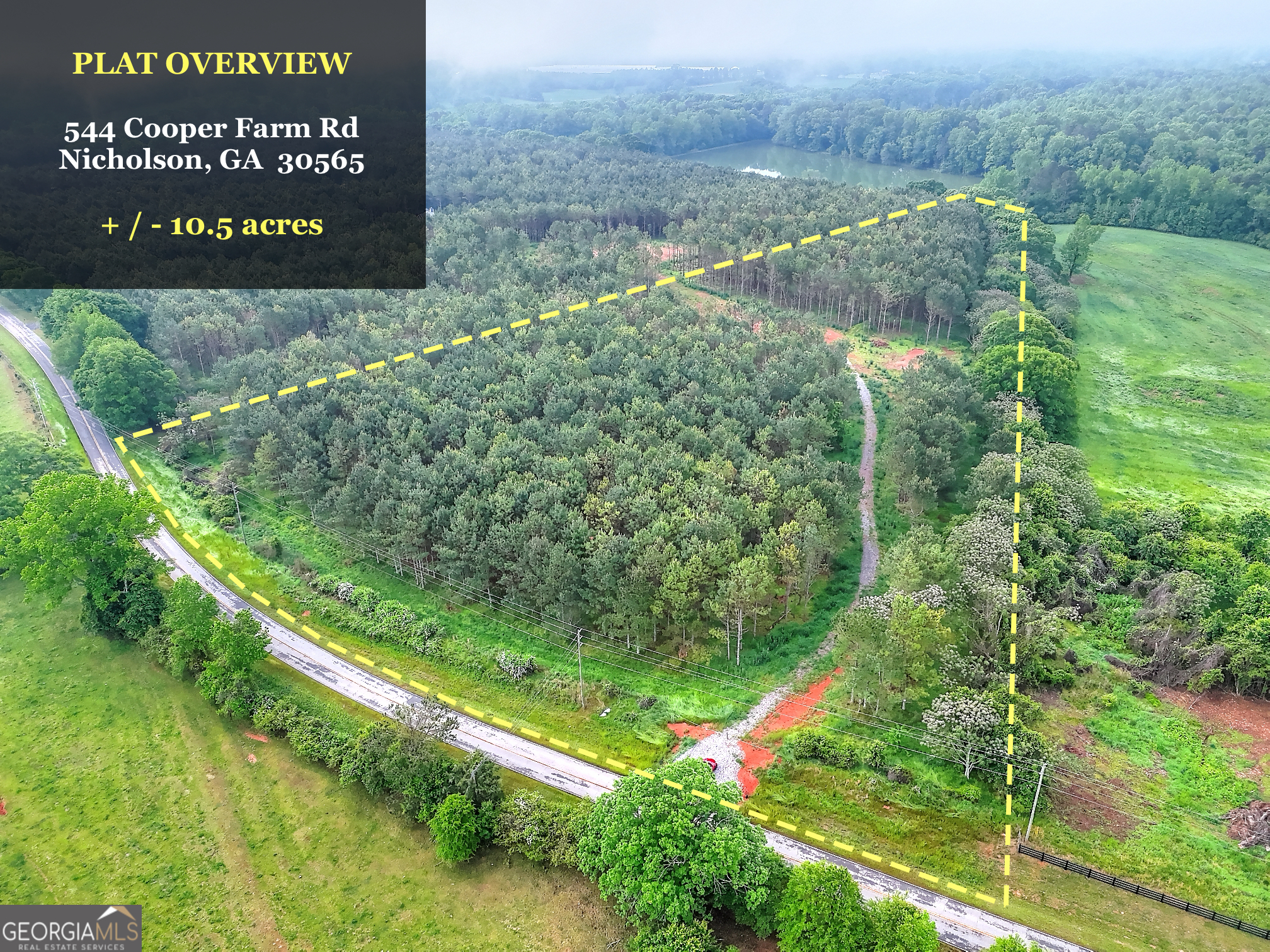 Listing image 6