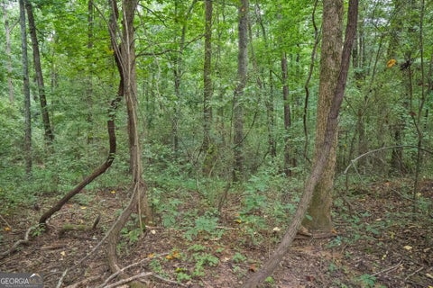 Photo for 82 Askin PL