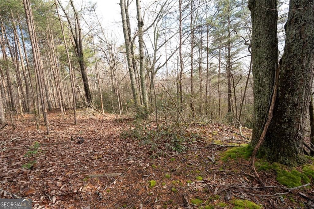 Photo of 1 Amber Court, Jasper, GA 30143 (MLS # 10779927)