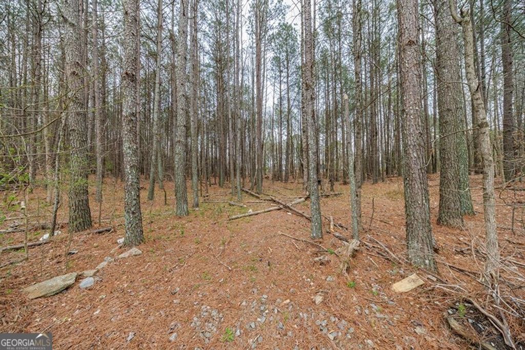 Photo of 13585 Arnold Mill Road, Milton, GA 30075 (MLS # 10715739)