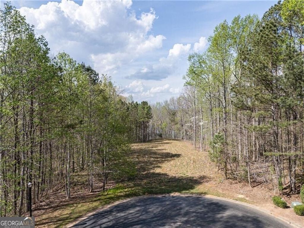 Photo of 1005 Overlook Terrace lot 53 Ter, Ball Ground, GA 30107 (MLS # 10742108)