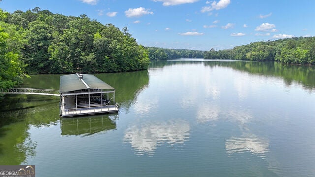 Photo of 117 Firefly Run, Lagrange, GA 30240 (MLS # 10838679)