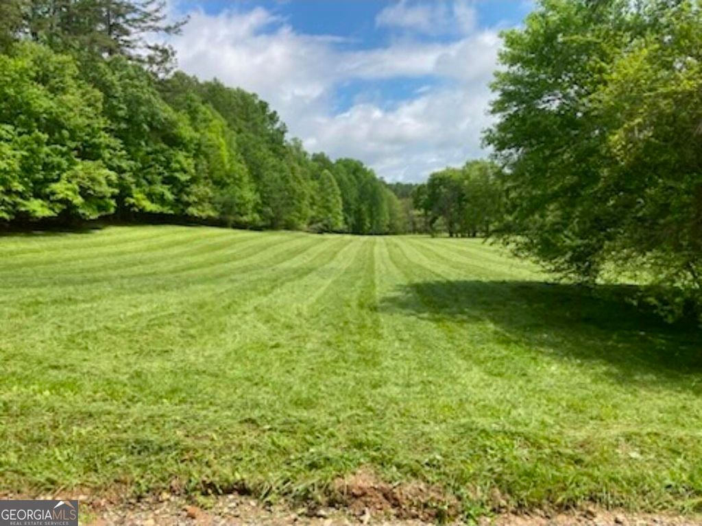 Photo of 0 Loving Drive, Blairsville, GA 30512 (MLS # 10624678)