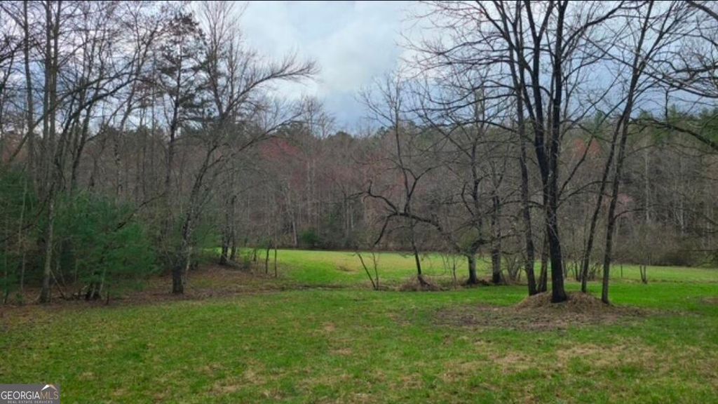 Photo of 0 Loving Drive, Blairsville, GA 30512 (MLS # 10624678)